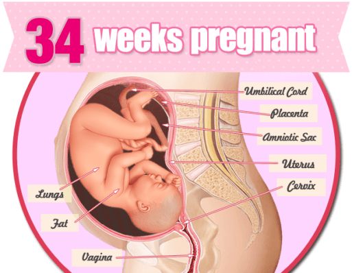 Thai 34 tuần là bao nhiêu tháng và cách tính tuổi thai chuẩn 1