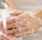 Rửa tay trước khi ăn và không ăn rau sống có liên quan gì đến bệnh giun đũa