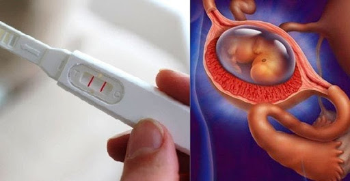 Bạn có biết sau quan hệ bao lâu thì thai vào tử cung?